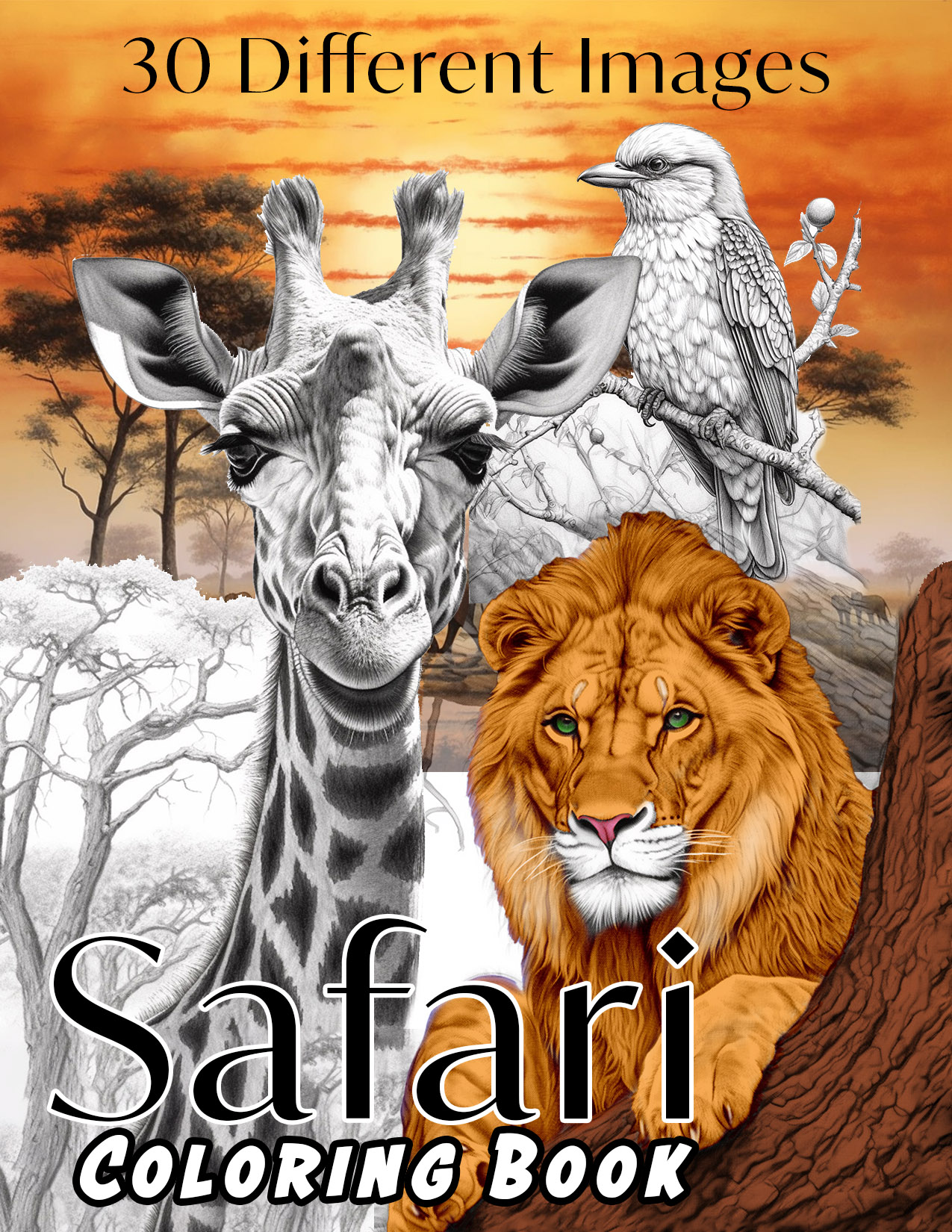Safari Animals Coloring Book Cover